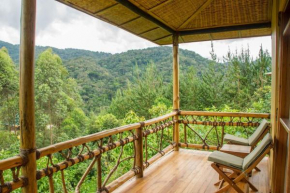  Ichumbi Gorilla Lodge  Кисоро